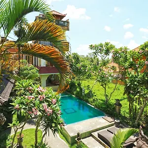 ubud-city-hotel.ubudhotelsnow.com/